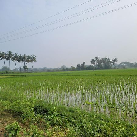 Tanjore Home Stay ثانجافور المظهر الخارجي الصورة
