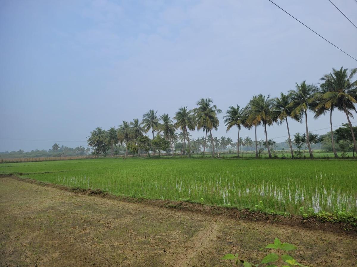 Tanjore Home Stay ثانجافور المظهر الخارجي الصورة