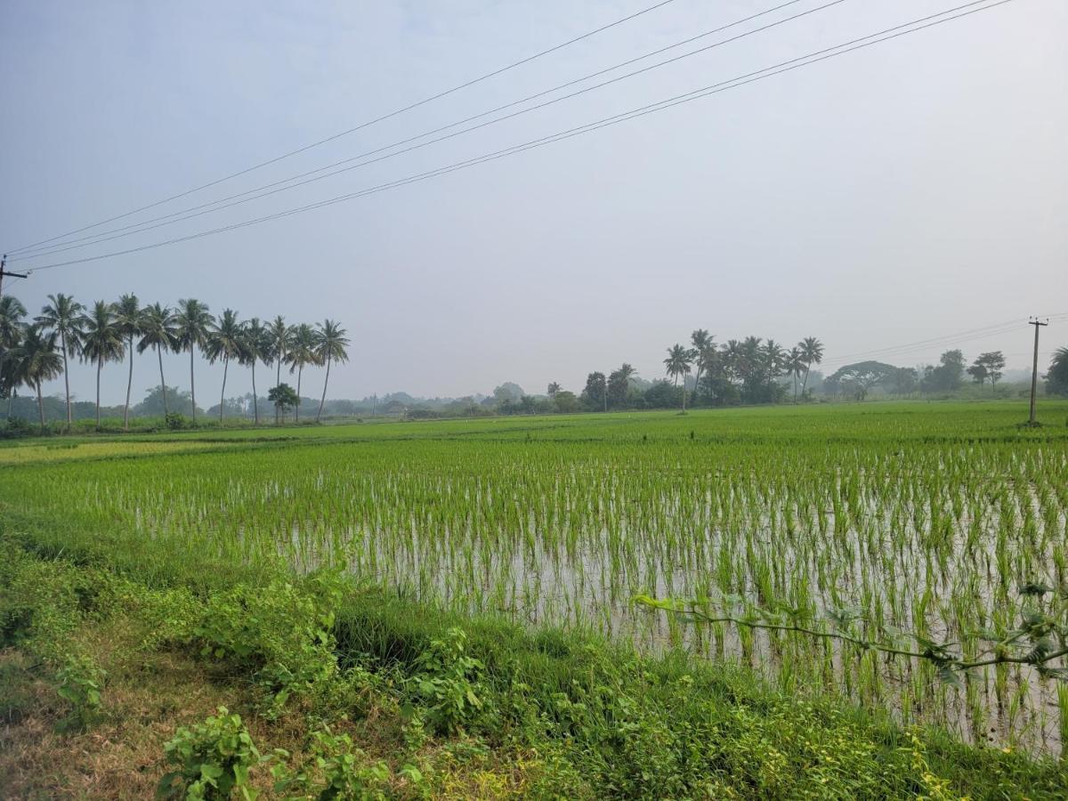 Tanjore Home Stay ثانجافور المظهر الخارجي الصورة