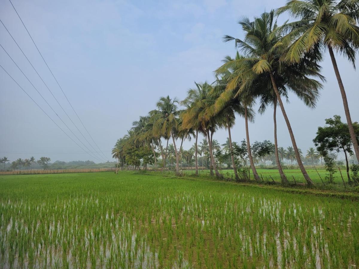 Tanjore Home Stay ثانجافور المظهر الخارجي الصورة