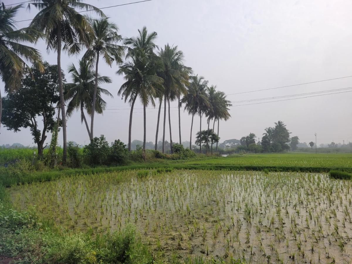 Tanjore Home Stay ثانجافور المظهر الخارجي الصورة
