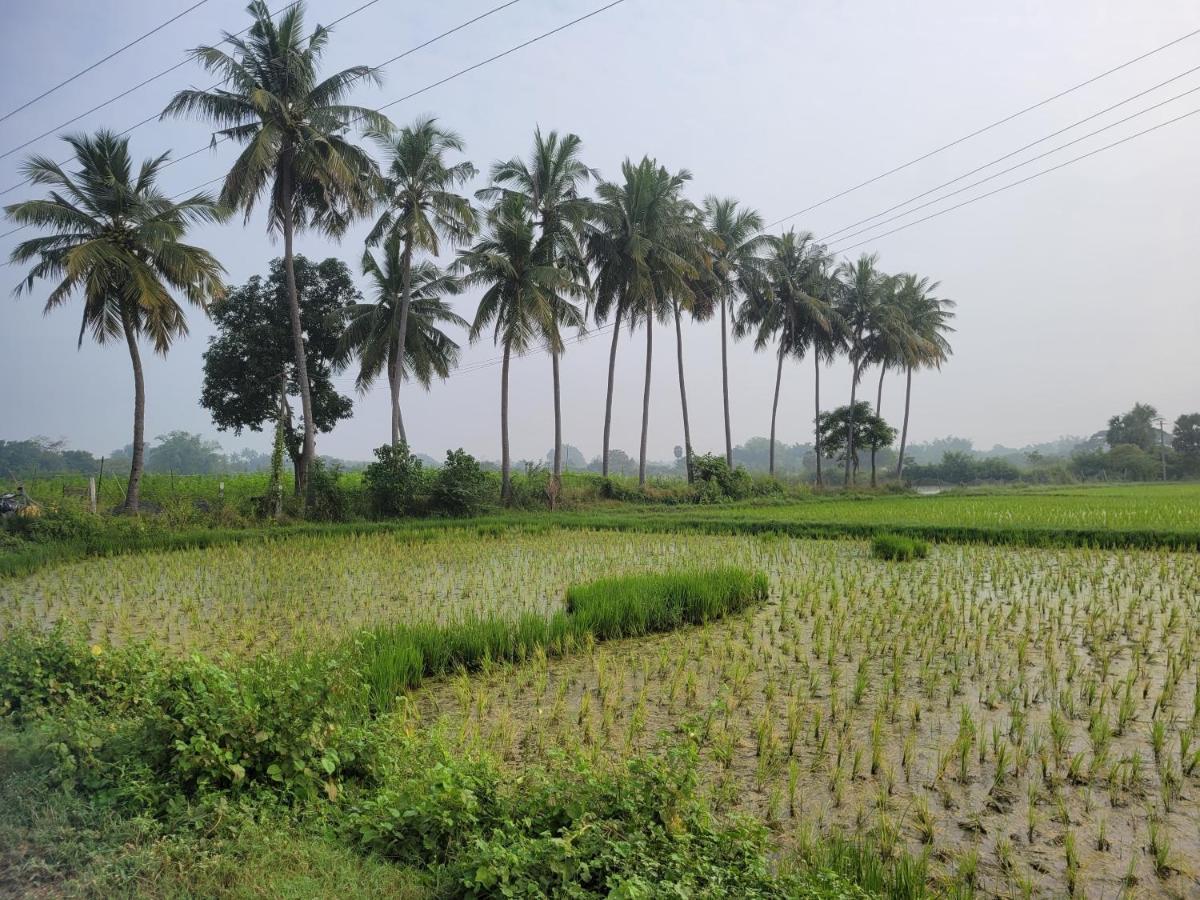 Tanjore Home Stay ثانجافور المظهر الخارجي الصورة